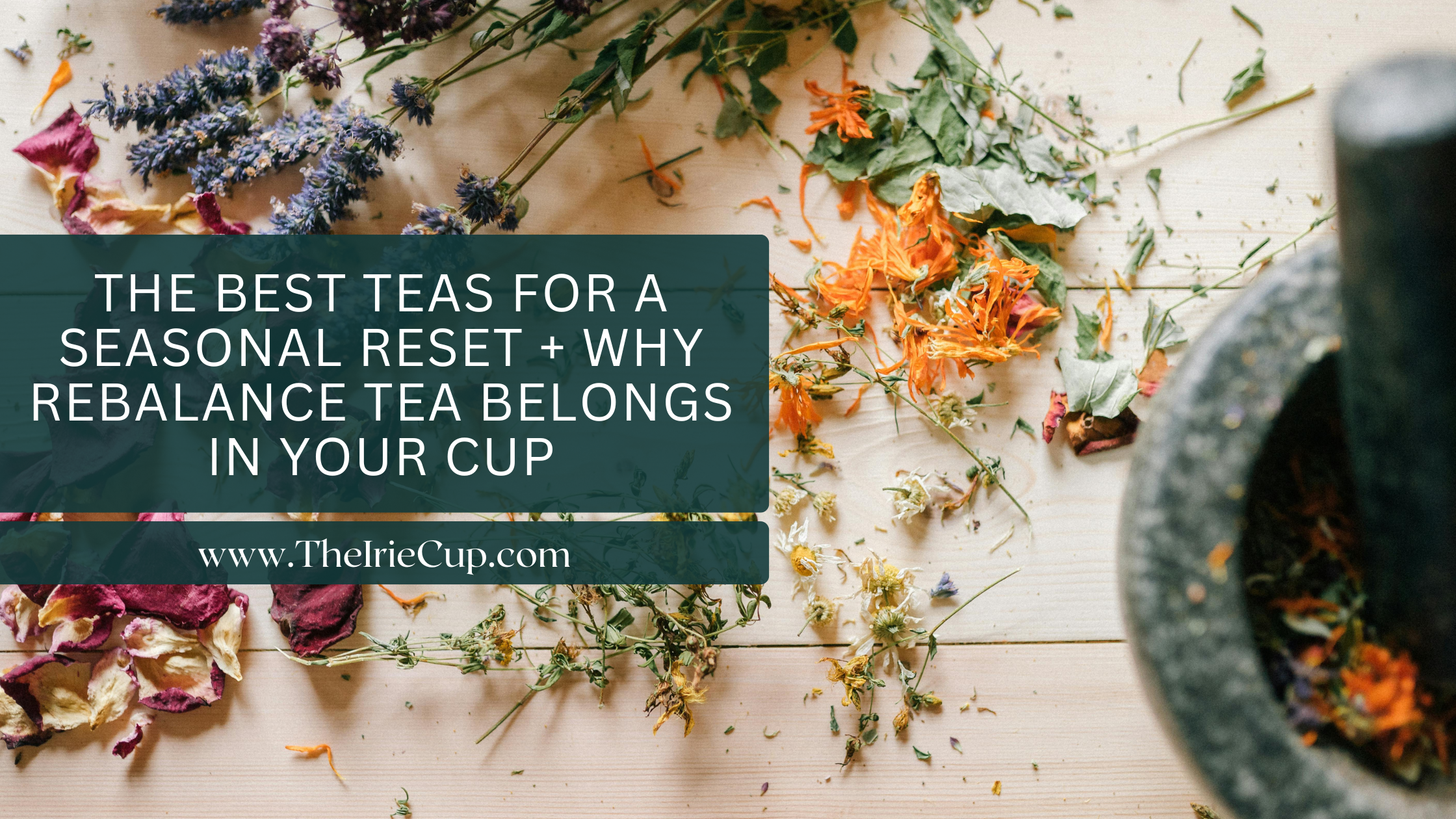 The Best Teas for a Seasonal Reset + Why Rebalance Tea Belongs in Your Cup