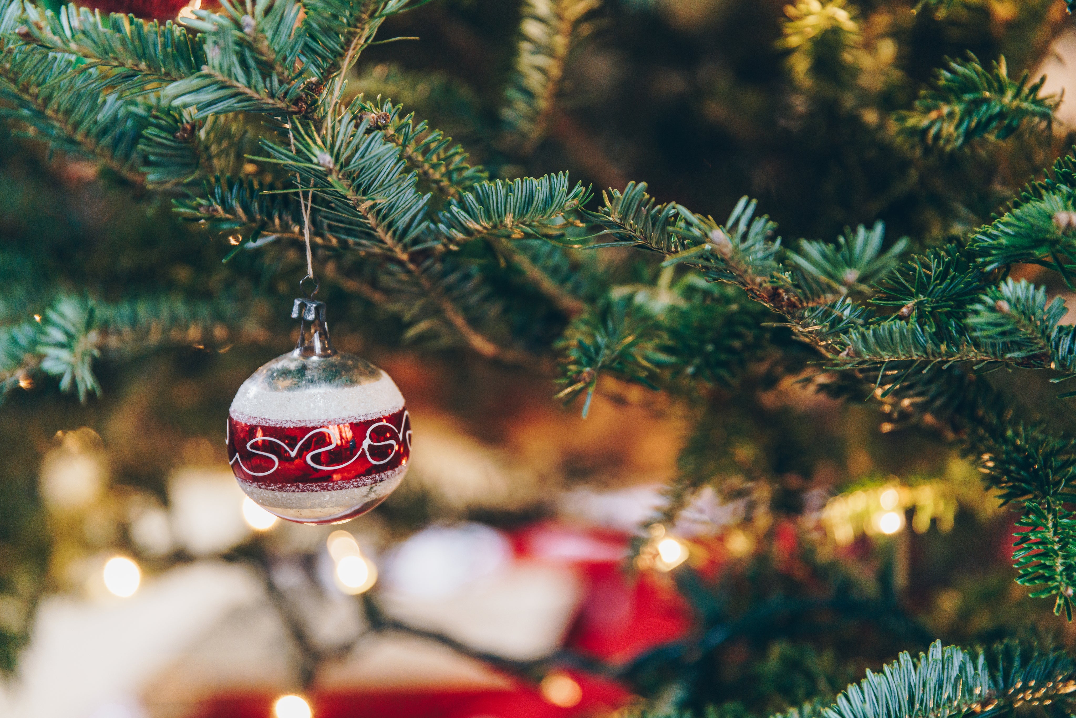 Holiday Collection & Black friday deals