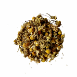 Egyptian Chamomile